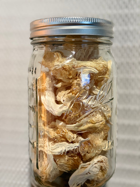 Dried Lions Mane